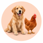 Animais